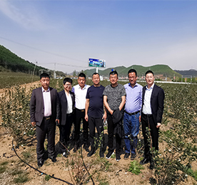 2019年5月8日，江苏安博电竞集团董事长？莆、江苏安博电竞集团上海分公司总经理张磊、集团总裁助理周文金一行人赴不老莓基地实地考察。